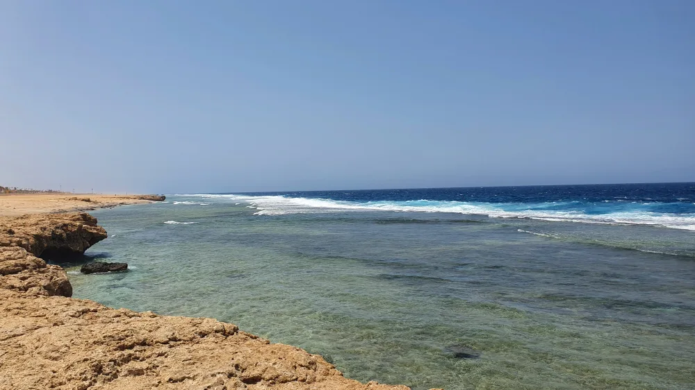 دراسات البيئة البحرية — مسطح شعاب مرجانية في أملج