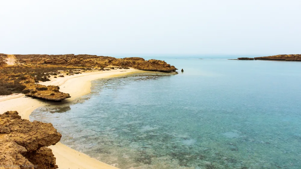 دراسات البيئة البحرية — ساحل صخري ومياه ضحلة